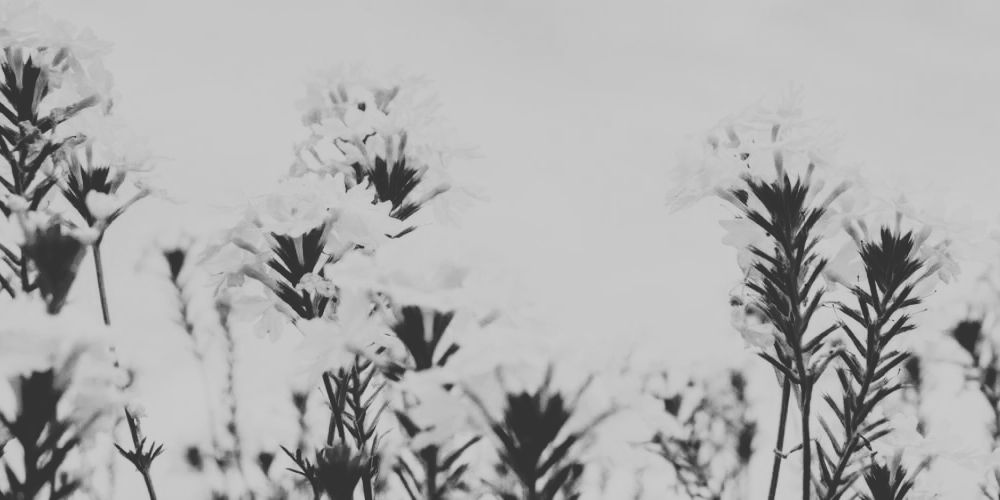 Stories About Motherhood After Cancer